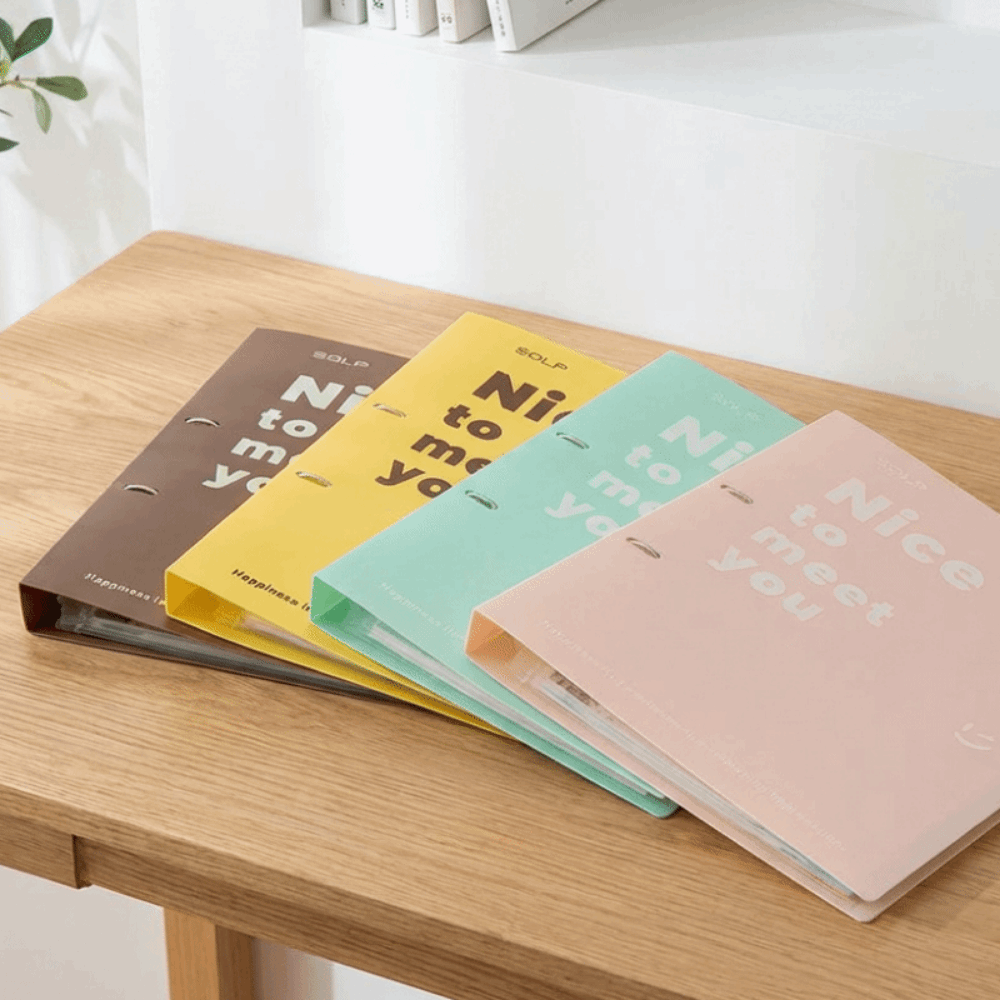 Practical PP Loose Leaf File B - огляд і ціна Binder Clip Assorted